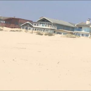 Meet your Posher, Sydney